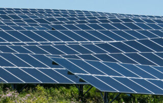 Solar Panel Farm
